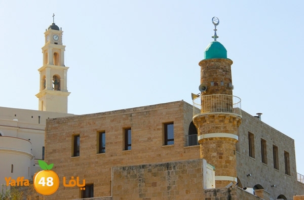 mina2 yaffaj343 (28).JPG